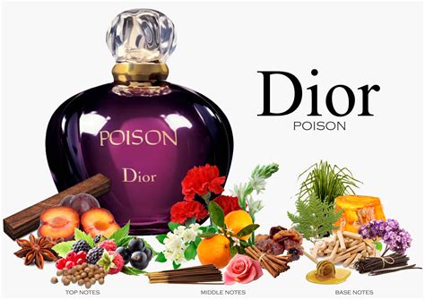 mens dior cologne similar to poison|Dior perfume brands.